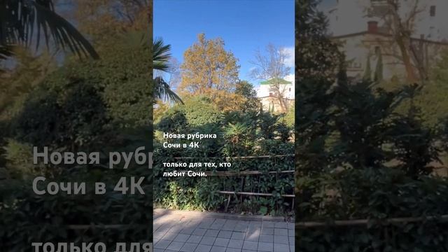 Сад русско-японской дружбы. Видео на канале. Снимаем в 4К # #сочи #sochi #сочисегодня 07.11.2023