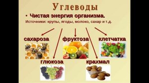 Коротко о главном, углеводы это сахариды,