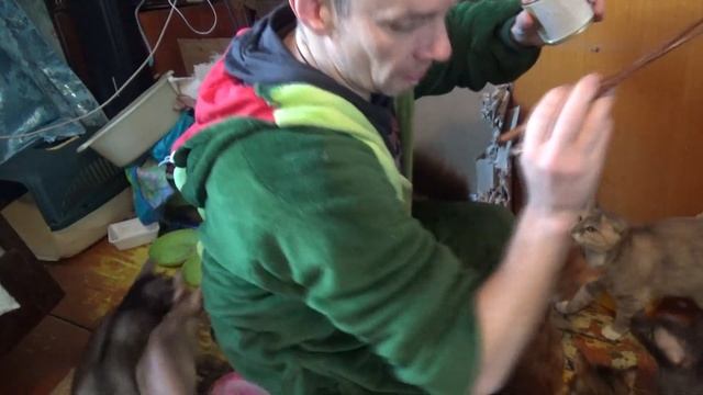 обжор паштет печеночный с шампиньонами смотреть онлайн