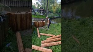 Укрепление берегов лиственницей