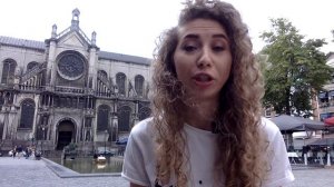 Нидерландский (голландский, фламандский) язык | Елена Кундера | The Dutch language | Eng subs