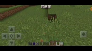 как создать Спавн на Атернос