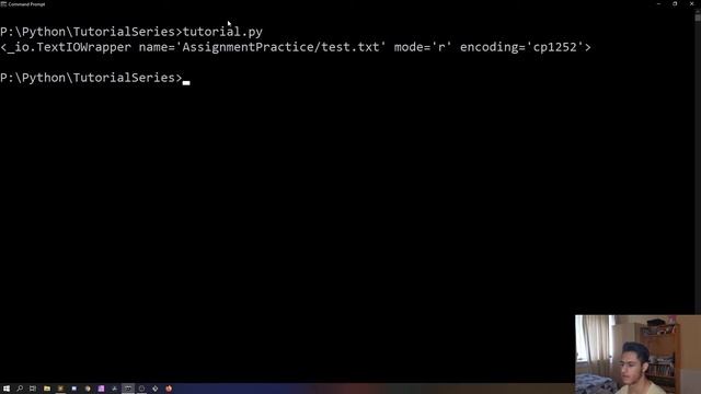 How To OPEN Files And IMPORT Data Into Python - Python Basics For Beginners
