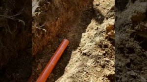 шамбо под ключ