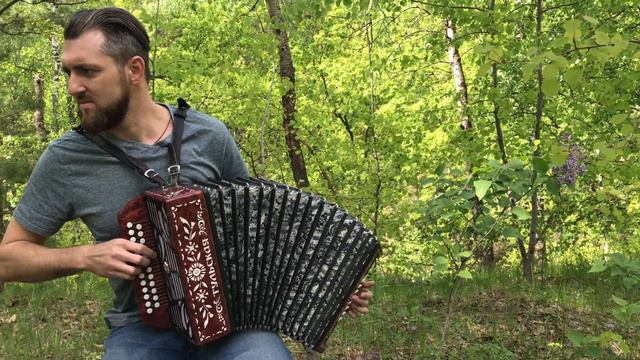 Одинокая ветка сирени на гармони смотреть онлайн