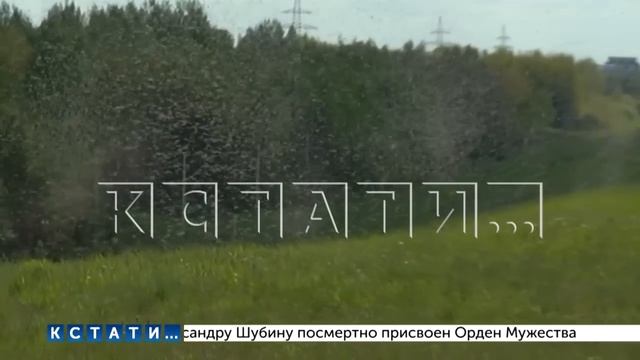 Огромные тучи комаров выстроились вдоль трассы на Горьковском море смотреть онлайн