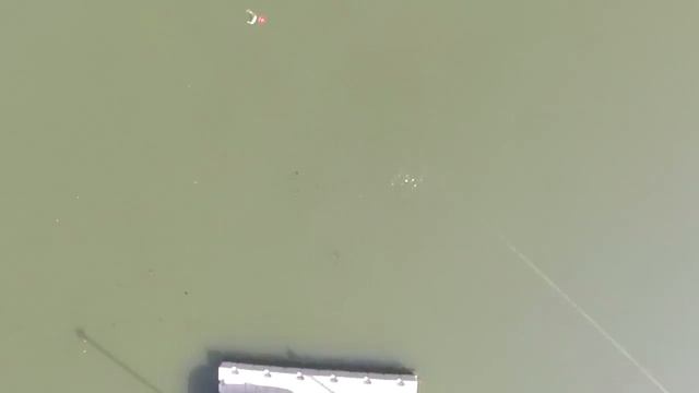 Видео: рыбалка с помощью дрона смотреть онлайн