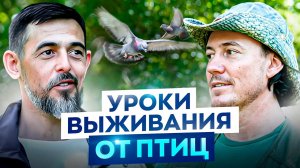 Люди мрут как мухи в каменных джунглях! Орнитолог о мощнейшем влиянии природы на каждого из нас