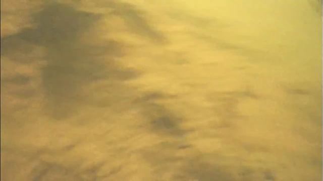 Крупные окуни-горбачи,подводная съёмка,смотреть до конца смотреть онлайн