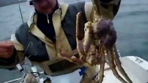 Дядя Тёма! Рыбалка на краба с катера. Владивосток Приморский Край. Приморье. Находка, Врангель.