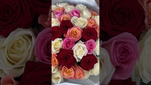 FLW000793 смотреть онлайн