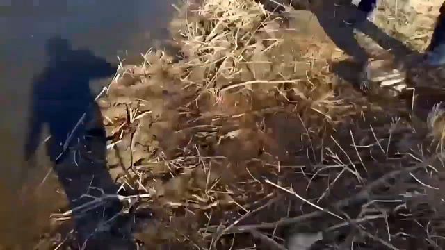 Рыбалка fishing смотреть онлайн