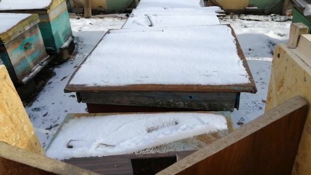 6-рамочник размеры и изготовление