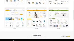 Flozen - WooCommerce AJAX WordPress RTL Theme gift electronics Website Builder