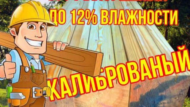 Лиственница Даурская Дальневосточная. (#Лиственница)