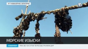 На западе Крыма разводят устриц и мидий