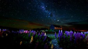 Прощай!  ( От всех вокзалов поезда...)