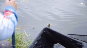 Маховое удилище Волжанка Рапира