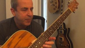 Washburn D11AN mountain ash SHORT review