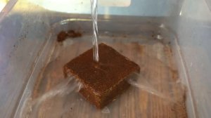 Выращивание салата и другой зелени зимой в домашних условиях.mp4