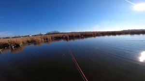 Вылазка на рыбалку: Сухой лиман 2021