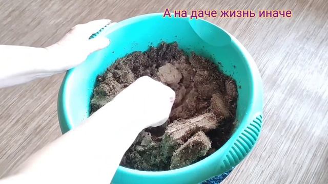 ПОЧВОБРИКЕТ. Готовлюсь к эксперименту.
