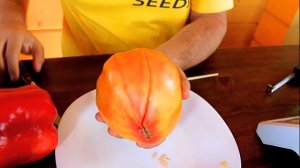 Томат Дыневый Мед F1     Лучший томат этого года!