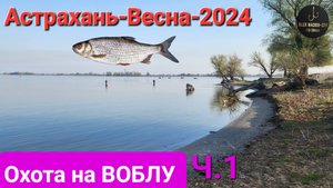 🔥Охота на ВОБЛУ. Волга-Апрель-2024 г. Астрахань!!! Часть №-1