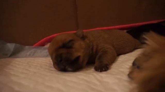 Day6/День 6/ Ребенок - лучшая подушка смотреть онлайн