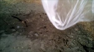 поиск металлолома на пляжах в дождь!