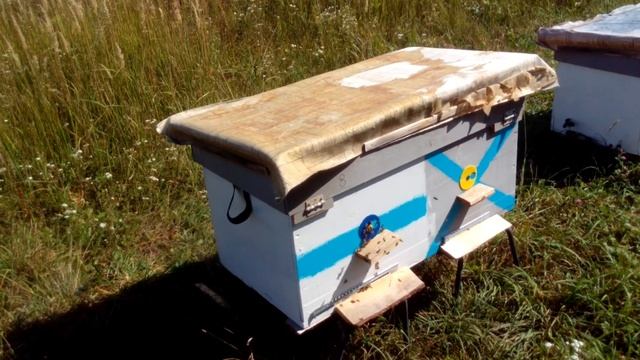 ВЕРХНИЙ ЛЕТОК в улье. Зачем его закрывать и когда??? подготовка пчёл к зимовке смотреть онлайн