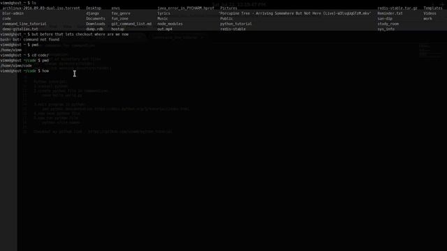 Linux command to create a python file смотреть онлайн