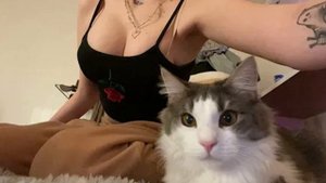 джизус - ты ничего не поняла (Russian Hardstyle) ?