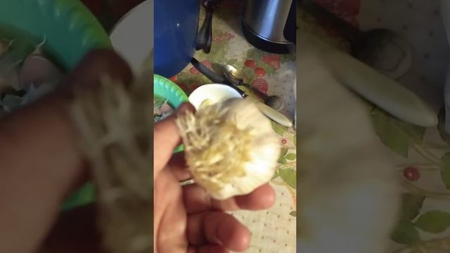 скоро буду сажать чеснок смотреть онлайн