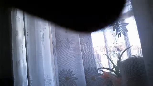 Видео с веб-камеры. Дата: 27 марта 2013 г., 14:06. смотреть онлайн