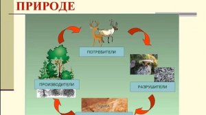 Цепи питания