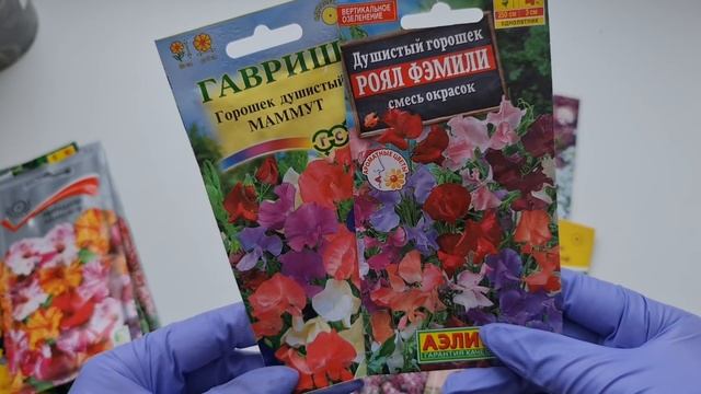 БЕЗ РАССАДЫ! Сеем СРАЗУ В ОТКРЫТЫЙ ГРУНТ! ЛУЧШИЕ АРОМАТНЫЕ ОДНОЛЕТНИКИ. ЦВЕТУТ до ЗАМОРОЗКОВ!