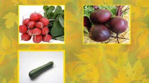 Викторина Овощи и фрукты