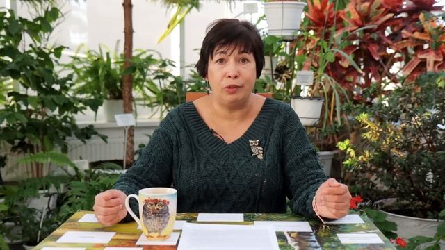 Осьминоги бросаются друг в друга предметами! Зачем они это делают? смотреть онлайн