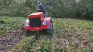Гусеничный минитрактор копает картошку самодельной копалкой швырялкой.