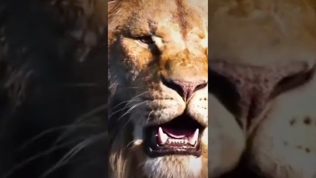 Lion Tattoo ???? with pen. #viral #trending #video #shorts #lion #tattoo #art