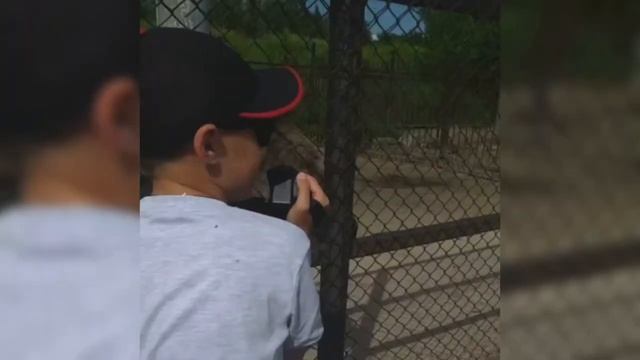 МИР МОИХ УВЛЕЧЕНИЙ смотреть онлайн