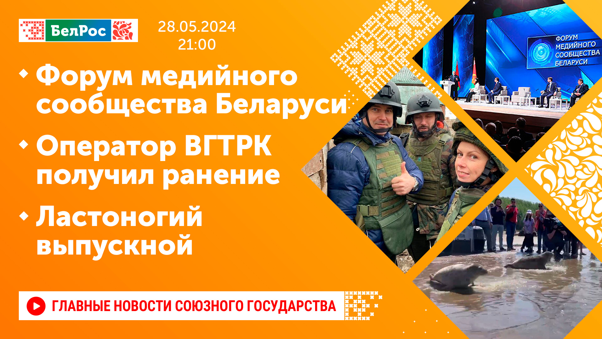 Форум медийного сообщества Беларуси  Оператор ВГТРК получил ранение  Ластоногий выпускной