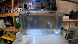 Запуск морского аквариума на пресноводных бактериях 2 день