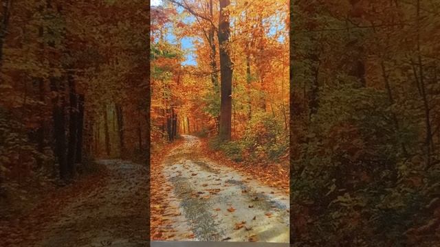 Песня "Осенние листья" смотреть онлайн