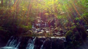 Forest Cascade of waterfalls. Nature and water sounds. (10 hours white noise for sleep)