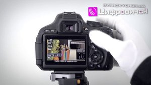 Видеообзор Canon EOS 600D