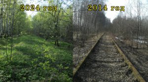 Железная дорога, которой уже нет