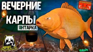 РР4/ рыбалка для души, ловим как универсал, общаемся 29.09.23