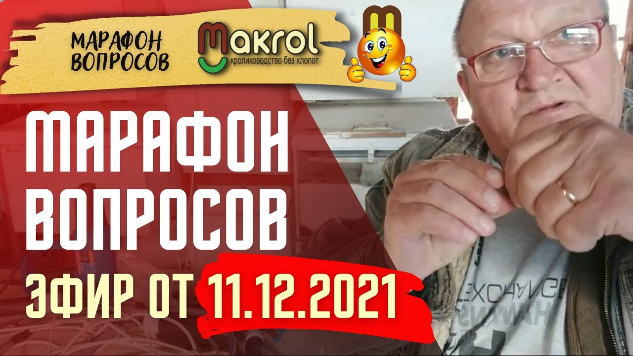 ?11.12.2021 ?Кролиководство. ✅Субботний МАРАФОН ВОПРОСОВ Макляк Макрол Вход свободный?.mp4